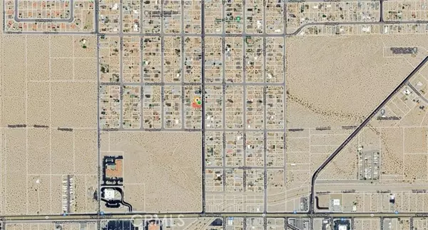 Twentynine Palms, CA 92277,0 Lupine