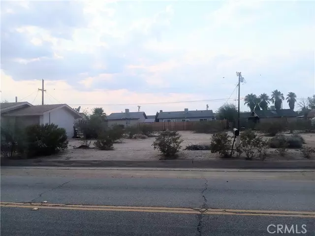 Twentynine Palms, CA 92277,0 Lupine