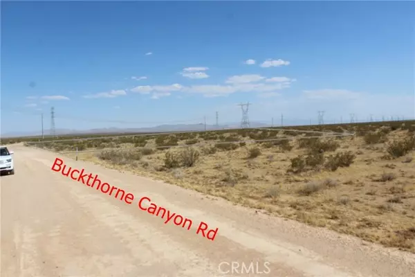 Adelanto, CA 92301,111 Buckthorne Canyon Road