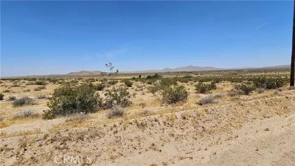 Helendale, CA 92342,1 Buckhorn Trail