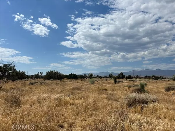 Phelan, CA 92371,0 White Fox Trail