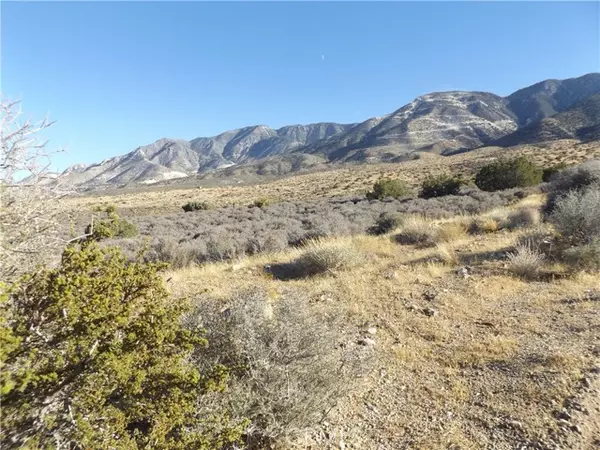 Lucerne Valley, CA 92356,10 Mesa