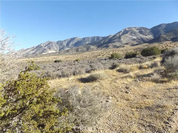 Lucerne Valley, CA 92356,10 Mesa