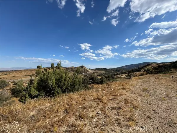 Pinon Hills, CA 92372,8320 Zohra Canyon Road