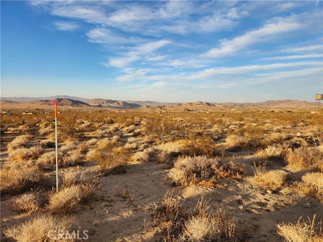 Big Bear City, CA 92285,52000 Ocotillo Road