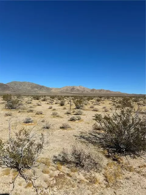 Barstow, CA 92311,0 Fort Irwin Rd/Shenk Ranch