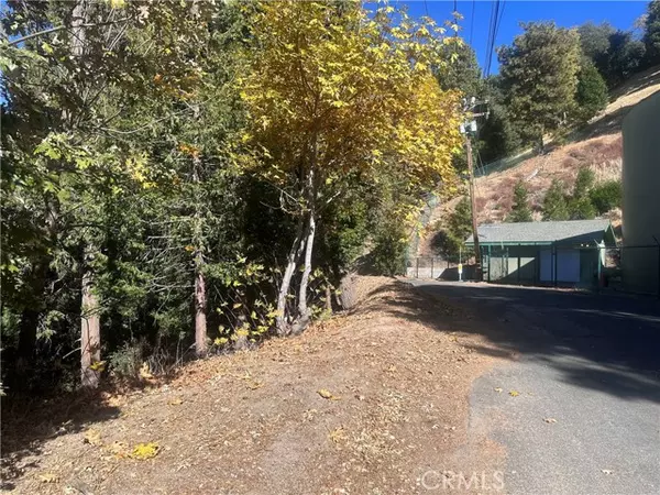 Crestline, CA 92325,2 Chillon Drive