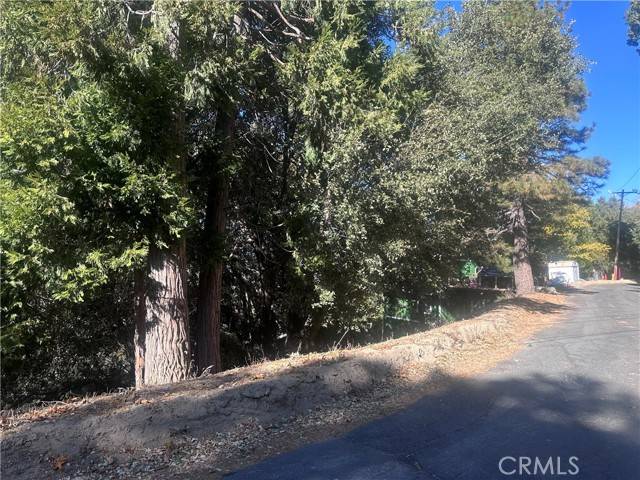 Crestline, CA 92325,2 Chillon Drive