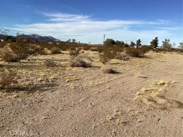 Newberry Springs, CA 92365,42979 Mandrill Street