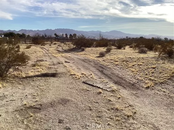 Newberry Springs, CA 92365,42979 Mandrill Street