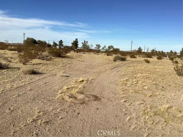 Newberry Springs, CA 92365,42979 Mandrill Street