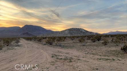 4530131 Palisade Avenue, Lucerne Valley, CA 92356