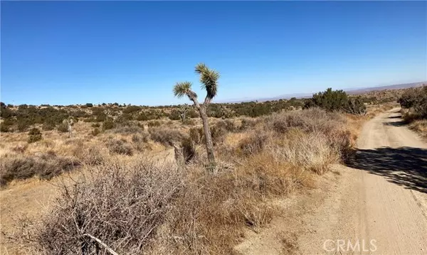 Littlerock (also Little Rock), CA 93543,0 96th Street