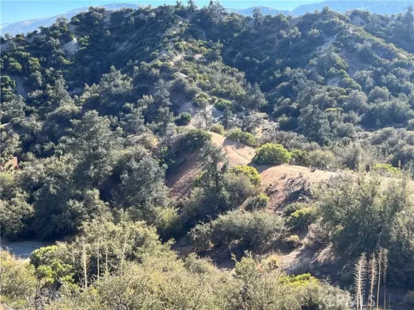 Wrightwood, CA 92372,0 Whispering Pines Road