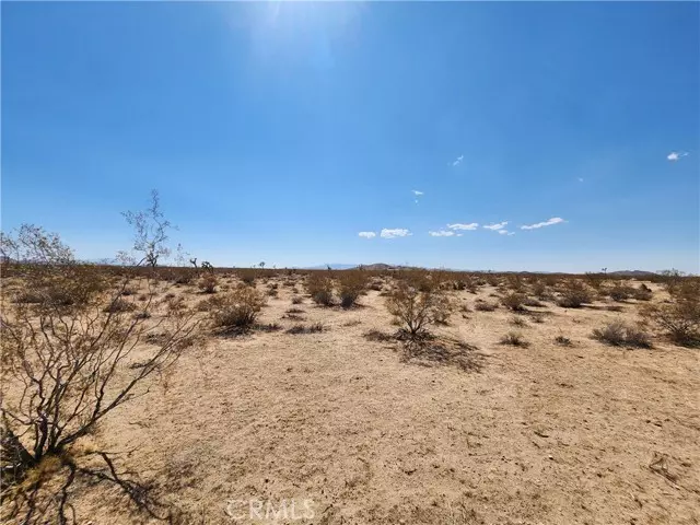 2025 Mcgarry Road, Joshua Tree, CA 92252
