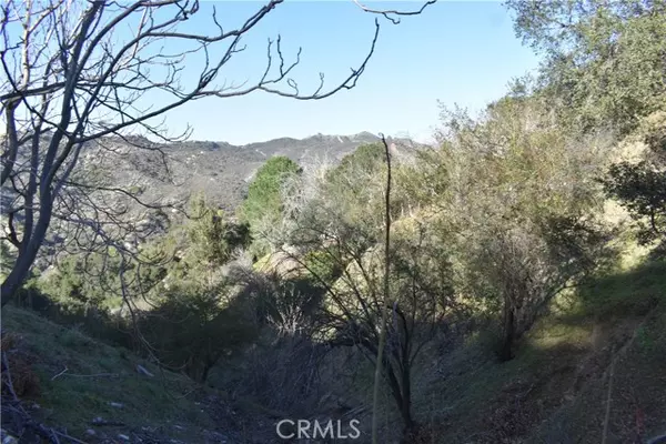 29935 Hickory Dr, Cedar Glen, CA 92321