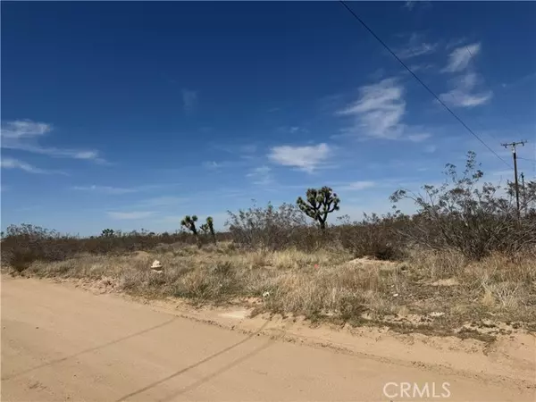 Phelan, CA 92371,0 Del Rosa