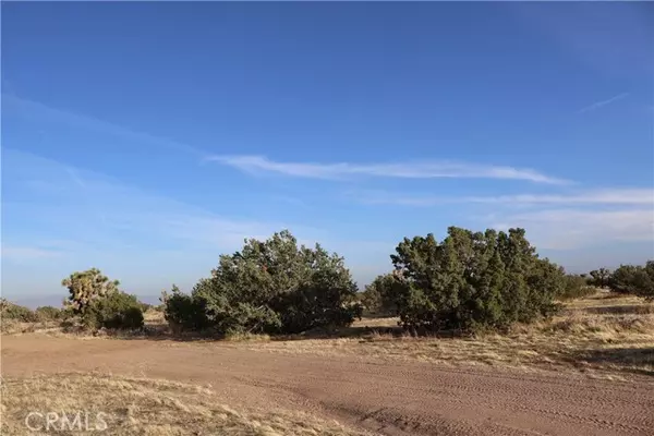 Oak Hills, CA 92344,9955 Macron Street