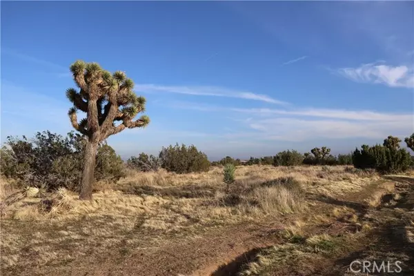 Oak Hills, CA 92344,9955 Macron Street