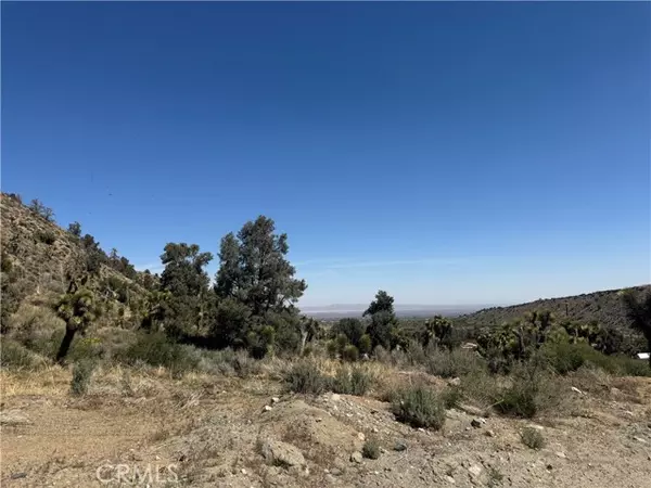Pinon Hills, CA 92372,41112 Jack Rabbit Road