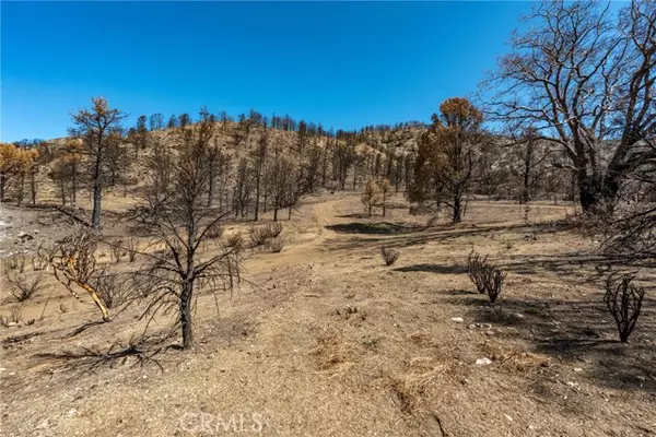 Wrightwood, CA 92397,0 North Cardinal Rd