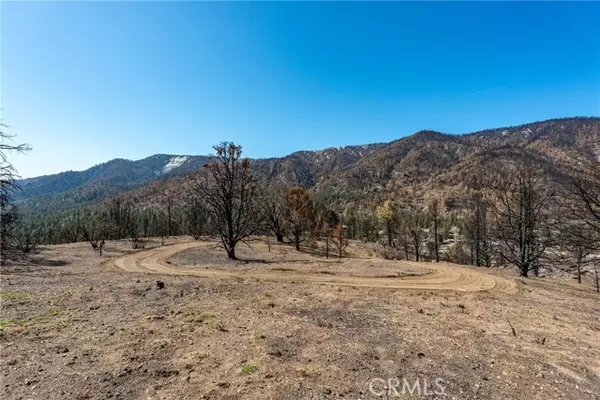 Wrightwood, CA 92397,0 North Cardinal Rd