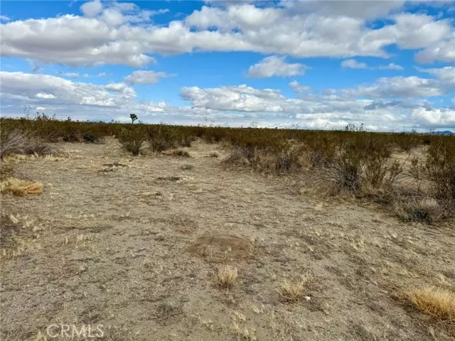 31005410 4 Dos Palmas Avenue, Pinon Hills, CA 92372