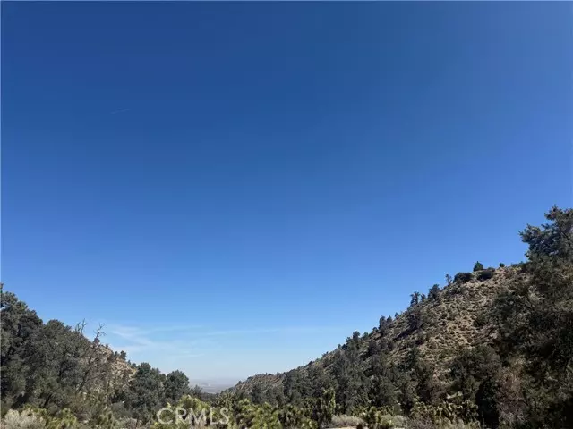 Pinon Hills, CA 92372,40124 Scenic Creek