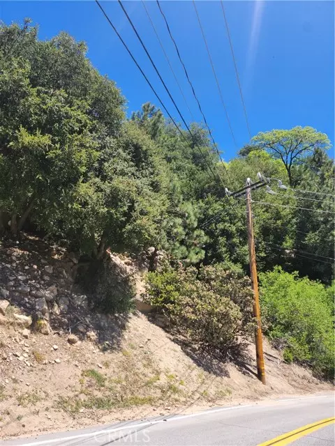 Lake Arrowhead, CA 92352,1187 Brentwood Drive