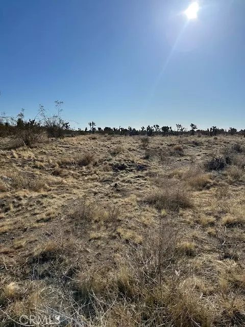 Phelan, CA 92371,0 La Mesa Road