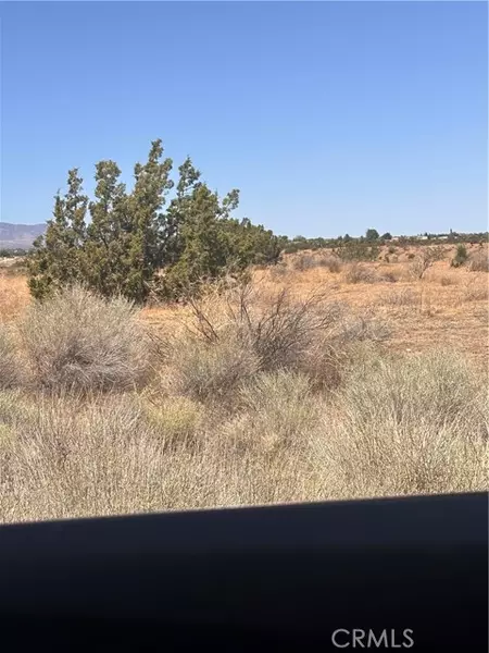 0 Beekley Road, Pinon Hills, CA 92372