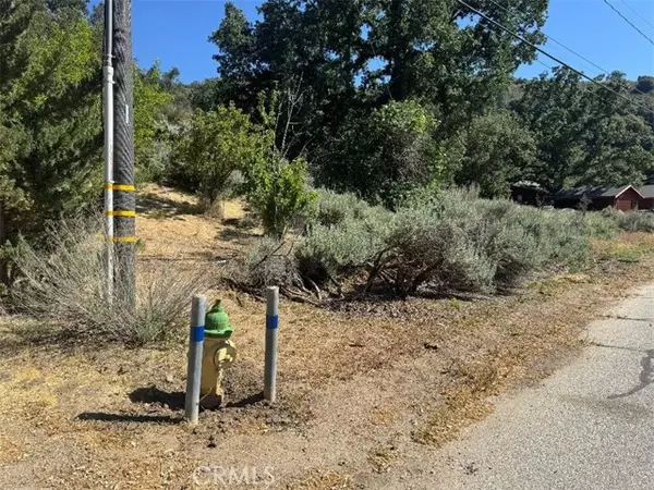 Bear Valley Springs, CA 93561,0 Butterfield Way