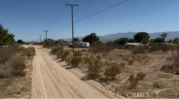 Phelan, CA 92371,0 Acanthus