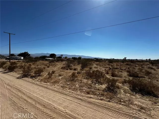 Phelan, CA 92371,0 Acanthus