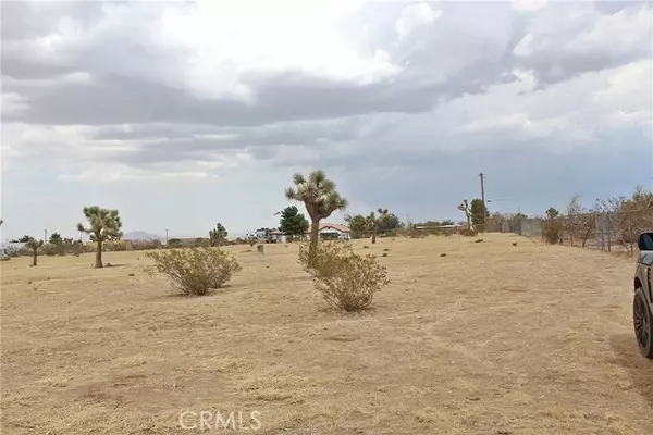 Phelan, CA 92371,111 La Mirada Road