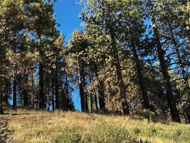 Running Springs, CA 92382,1 Conway Dr Drive