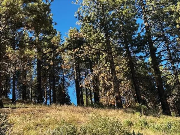 1 Conway Dr Drive, Running Springs, CA 92382