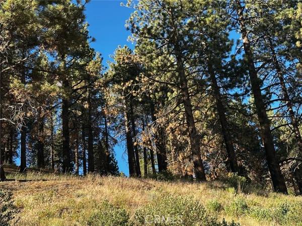 1 Conway Dr Drive, Running Springs, CA 92382