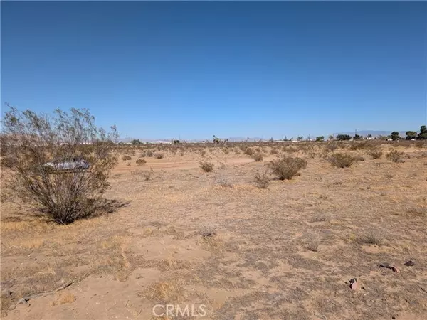 Adelanto, CA 92301,0 Verbena Parcel #3128-131-11 Road