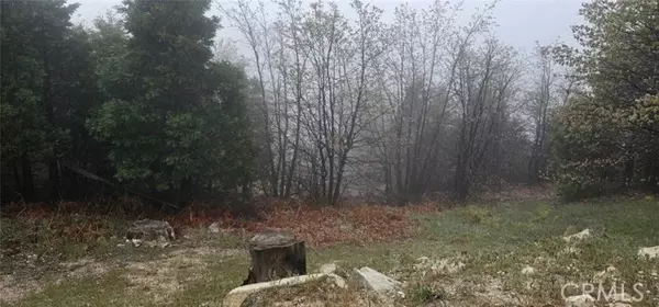 Rimforest, CA 92378,0 Bridal