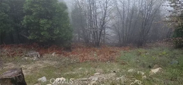 Rimforest, CA 92378,0 Bridal