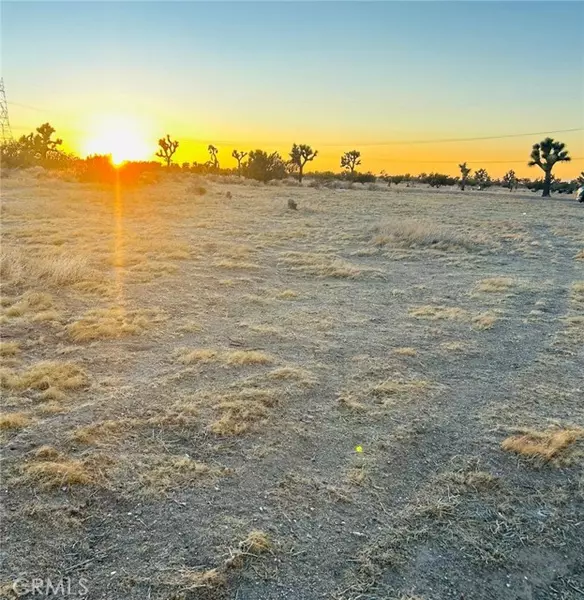 4 Two Mile Road, Joshua Tree, CA 92252