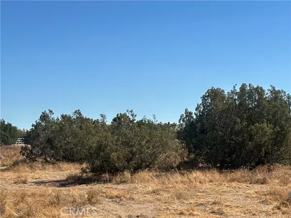 Oak Hills, CA 92344,0 Kittering Road