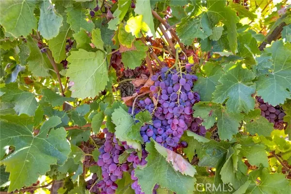 Lucerne Valley, CA 92356,10099 Highland Avenue