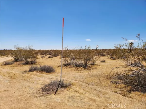 Joshua Tree, CA 92252,15 Bowman Trail