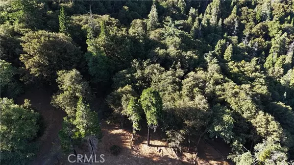 Cedarpines Park, CA 92322,722 Mojave River Road