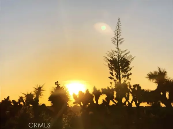 Phelan, CA 92371,1 Yucca Terrace Drive