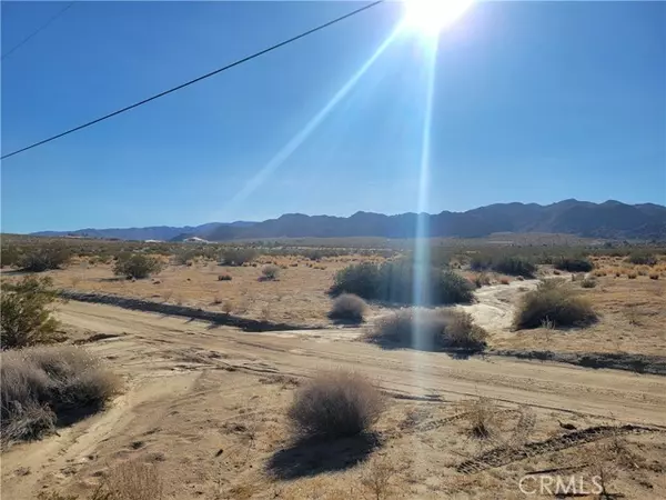 0 Fran Lou Lane, Joshua Tree, CA 92252