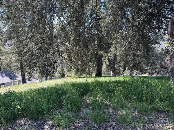 Cedarpines Park, CA 92322,0 Elliot Road