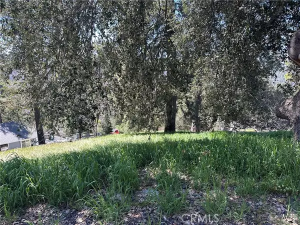 Cedarpines Park, CA 92322,0 Elliot Road